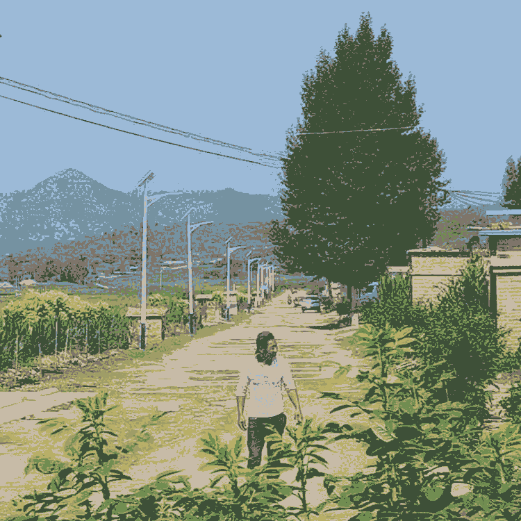 太陽能LED路燈綠色環(huán)保歡迎咨詢