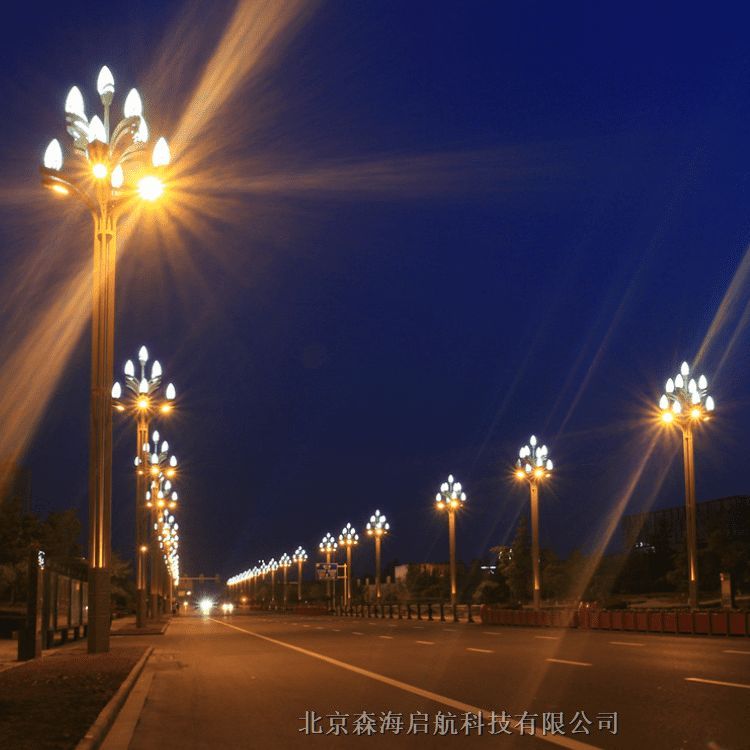 工廠直銷 5米路燈 LED高光效燈具 太陽能燈